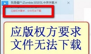 迅雷版权无法下载怎么办（迅雷版权无法下载怎么办啊）