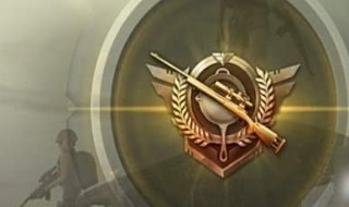 和平精英段位排行（和平精英段位排行榜图片）