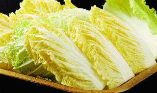 白菜苗几天浇一次水 白菜苗几天浇一次水合适
