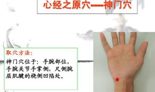 神门穴的准确位置 找神门的最简单的方法图片