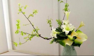 插花艺术教程固定法技巧（插花固定工具有哪些）
