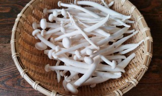 冰箱里海鲜菇长白毛可以吃吗（海鲜菇上有白毛能吃吗）