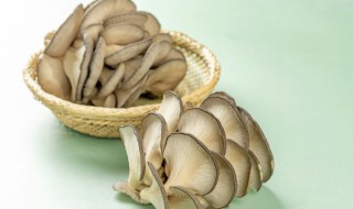 吃蘑菇会胖吗 早上吃蘑菇会胖吗