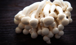白玉菇和海鲜菇有什么区别（白玉菇还是海鲜菇）