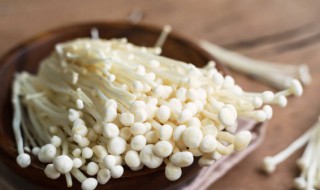 白玉菇长什么样（白玉菇长什么样?）