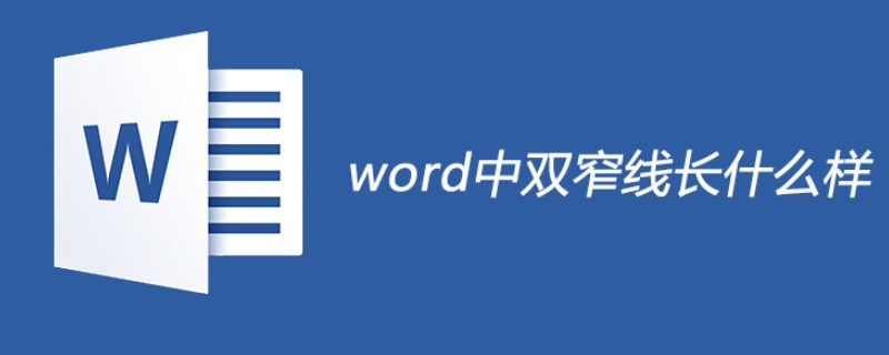 双窄线是什么样子 word双窄线是什么样子