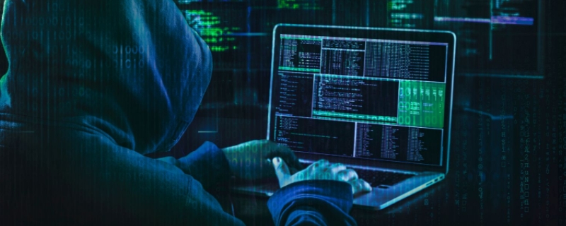 网络攻击呈现的趋势不包括（网络攻击呈现的趋势不包括组织严密化）