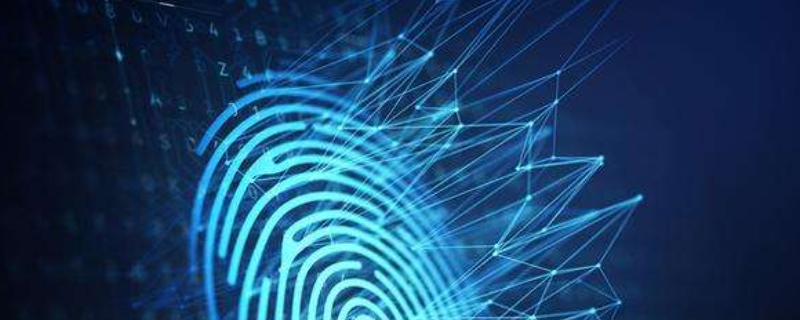 指纹识别技术原理 指纹识别技术原理是怎样的?