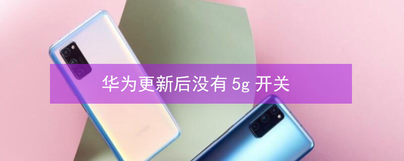华为更新后没有5g开关 华为更新之后没有5g
