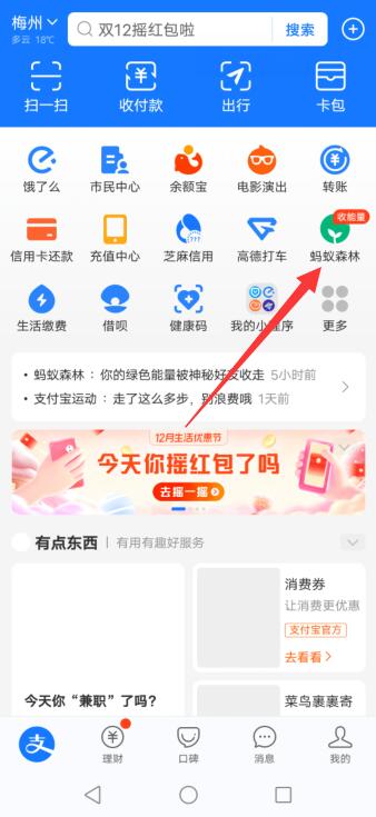 支付宝收能量提醒在哪里