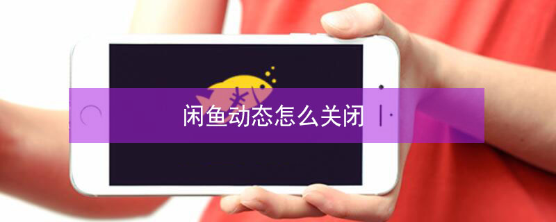 闲鱼动态怎么关闭 闲鱼动态怎么关闭所有人