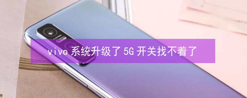 vivo系统升级了5G开关找不着了 vivo手机升级5g