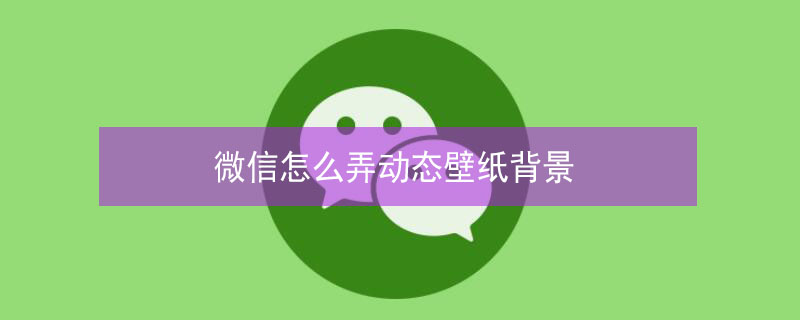 微信怎么弄动态壁纸背景 微信里怎么弄动态壁纸