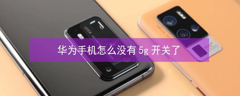 华为手机怎么没有5g开关了（华为手机为什么没有5g开关了）
