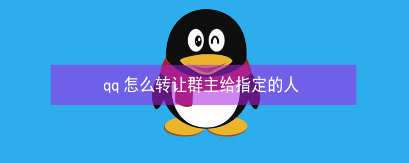 qq怎么转让群主给指定的人 qq怎么转让群主给指定的人转账