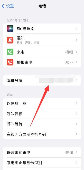 iPhone手机怎么看自己手机卡号