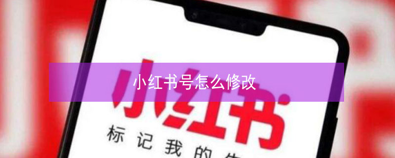 小红书号怎么修改（小红书号怎么修改不了）