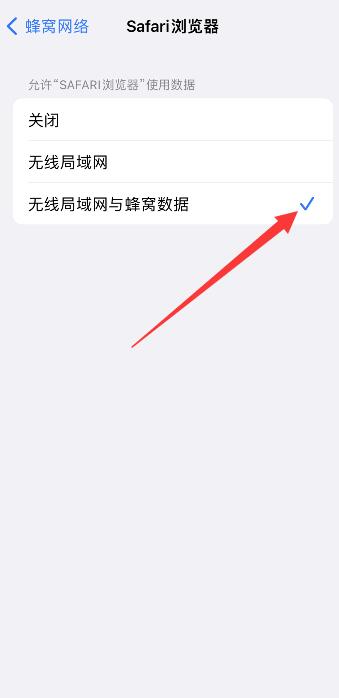 iPhone尚未接入互联网怎么设置