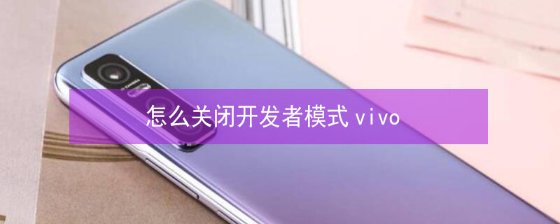 怎么关闭开发者模式vivo（怎么关闭开发者模式vivoX9）