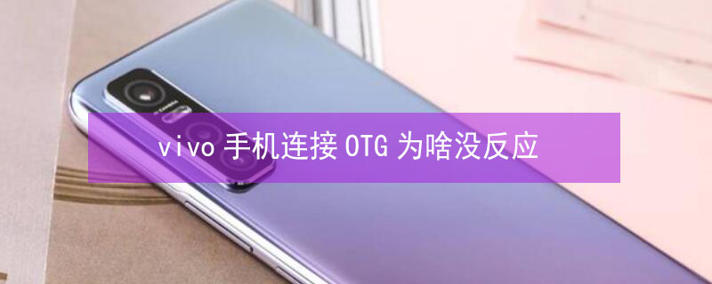 vivo手机连接OTG为啥没反应（vivo手机连不上OTG）