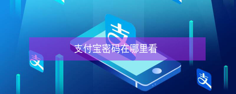 支付宝密码在哪里看（支付宝密码在哪里看?）