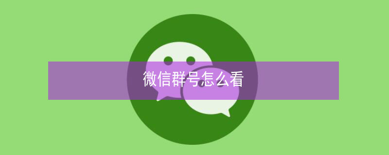 微信群号怎么看 微信群号怎么看群名