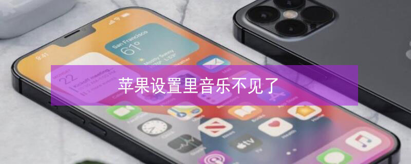 iPhone设置里音乐不见了（iphone音乐不显示）
