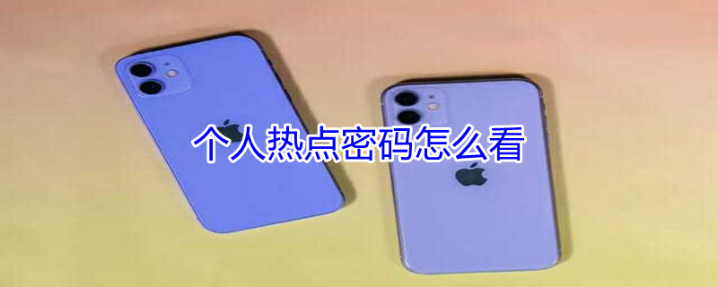 个人热点密码怎么看（荣耀个人热点密码怎么看）