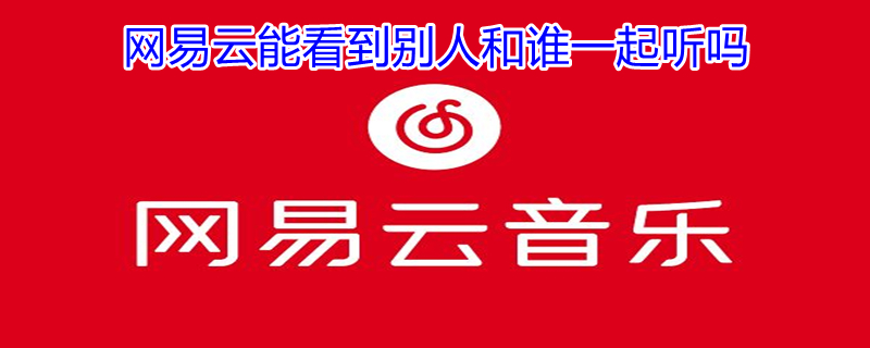 网易云能看到别人和谁一起听吗（网易云能看到别人和谁听歌吗）