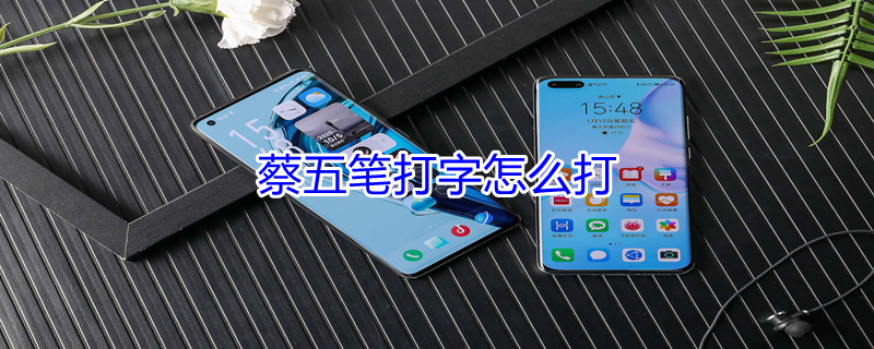 蔡五笔打字怎么打（蔡五笔打字怎么打出来）