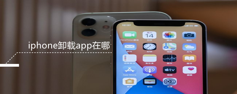 iPhone卸载app在哪（iphone出现一个删不掉的软件）