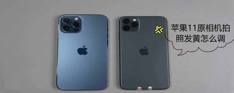 iPhone11原相机拍照发黄怎么调（iphone11原相机拍照发黄解决）