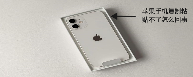 iPhone手机复制粘贴不了怎么回事 iphone复制粘贴不了怎么办