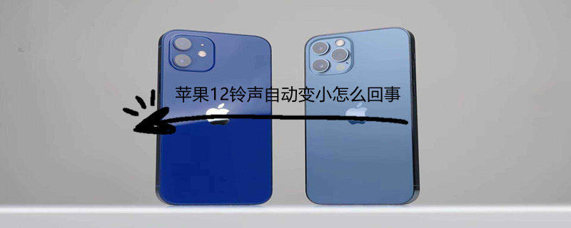 iPhone12铃声自动变小怎么回事 苹果12铃声怎么会自动变小