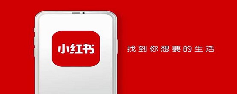 iPhone手机小红书怎么复制文字 iphone手机小红书怎么复制文字和图片