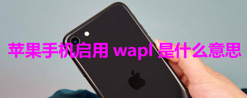 iPhone手机启用wapl是什么意思 苹果手机设置中的启用wapi啥意思