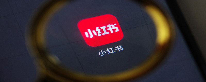 小红书怎么搜索用户 小红书怎么搜索用户名