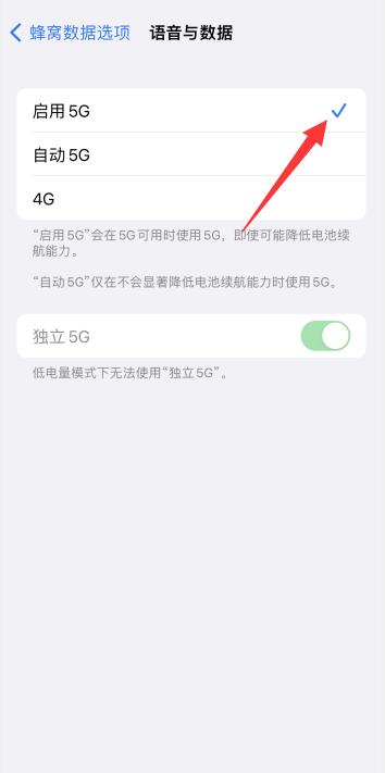 为什么iPhone13不显示5G