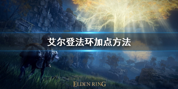 艾尔登法环怎么加点（艾尔登法环怎么加点npc）