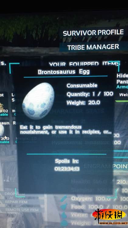《方舟：生存进化》恐龙蛋能孵化吗 方舟生存进化中的恐龙蛋怎么孵化