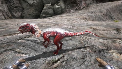 方舟生存进化生物图鉴大全 方舟生存进化生物图鉴大全2022