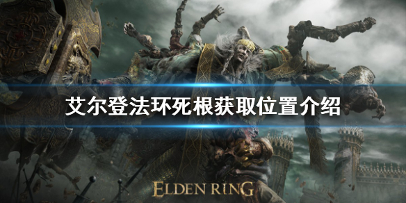 艾尔登法环死根如何获得 艾尔登法环缝合怪