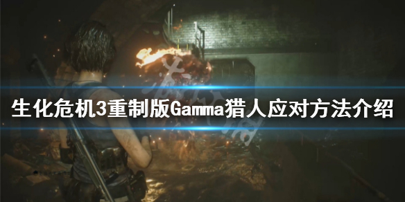 生化危机3重制版Gamma猎人怎么打 生化危机3重制版猎人弱点
