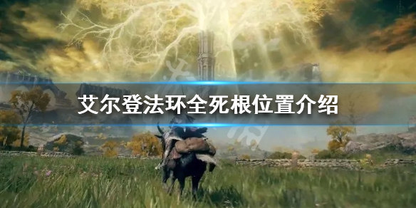 艾尔登法环死根如何收集（艾尔登法环截图）