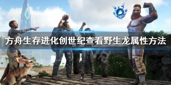 方舟生存进化怎么查看野生龙属性（方舟生存进化怎么查看野生恐龙属性）