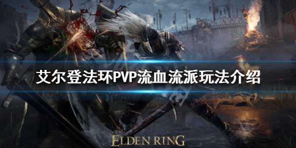 艾尔登法环PVP有哪些流派 艾尔登法环 nga