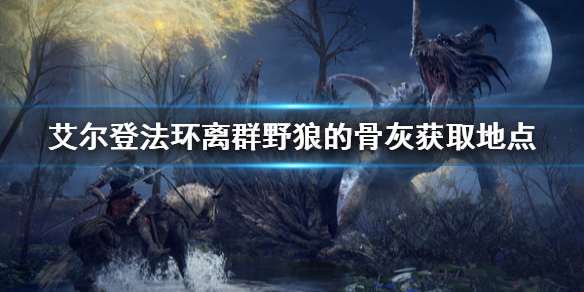 艾尔登法环离群野狼的骨灰去哪找 艾尔登法环狼人