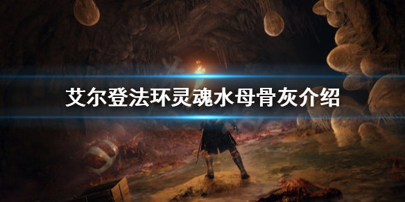 艾尔登法环灵魂水母是什么（艾尔登法环图片）