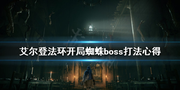 艾尔登法环蜘蛛boss怎么打 环世界蜘蛛怎么打