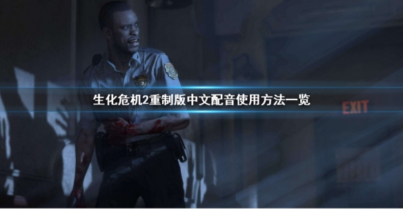 生化危机2重制版中文配音怎么调（生化危机2重制版中文配音怎么调成英文）